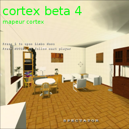 cortex