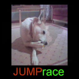jumprace
